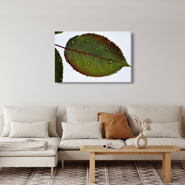 Slika - List ruže (90x60 cm)