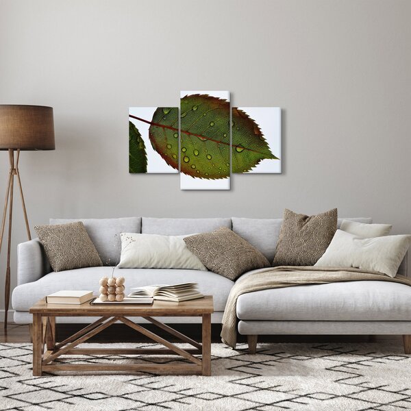 Slika - List ruže (90x60 cm)