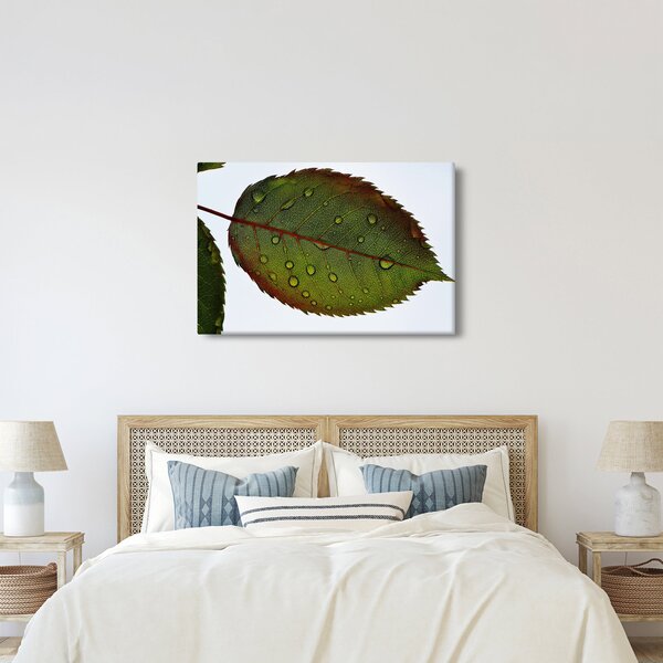 Slika - List ruže (90x60 cm)