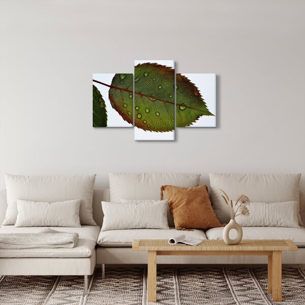 Slika - List ruže (90x60 cm)