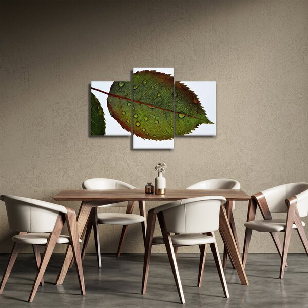 Slika - List ruže (90x60 cm)