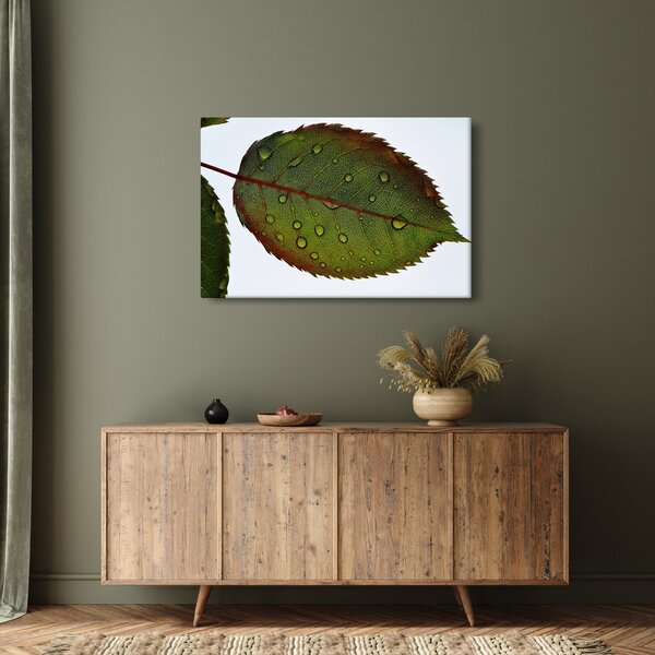 Slika - List ruže (90x60 cm)