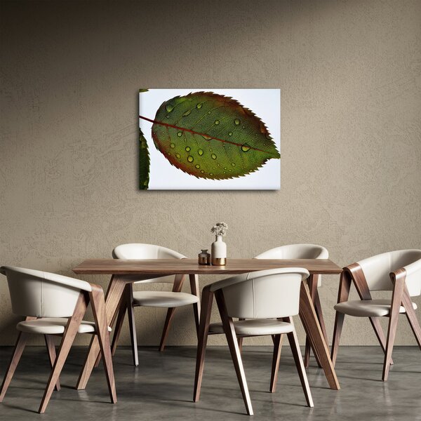 Slika - List ruže (70x50 cm)