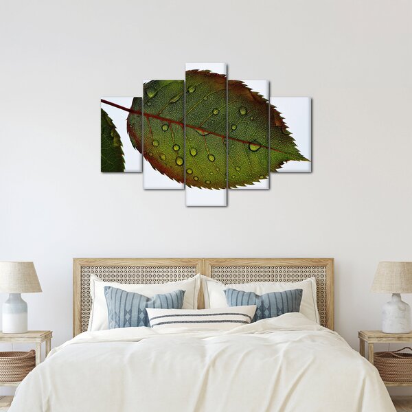 Slika - List ruže (150x105 cm)