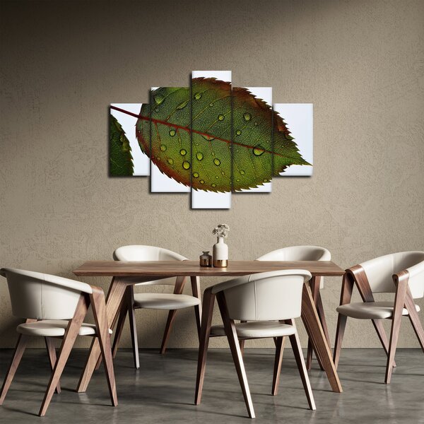 Slika - List ruže (150x105 cm)