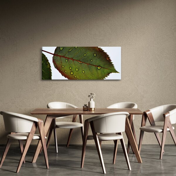 Slika - List ruže (120x50 cm)