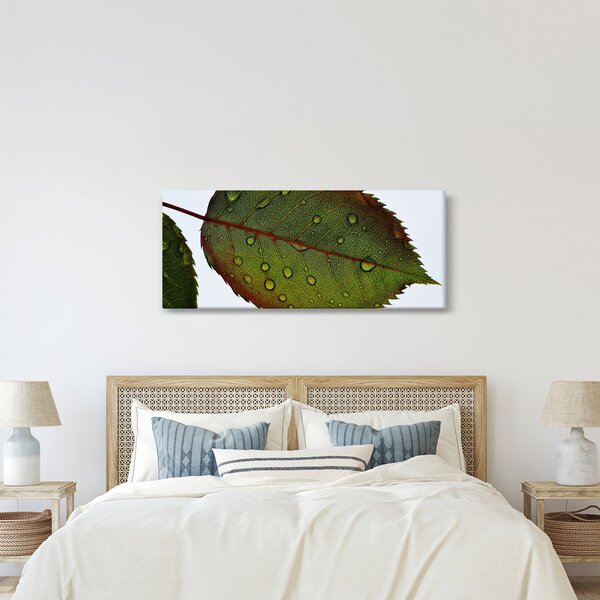 Slika - List ruže (120x50 cm)
