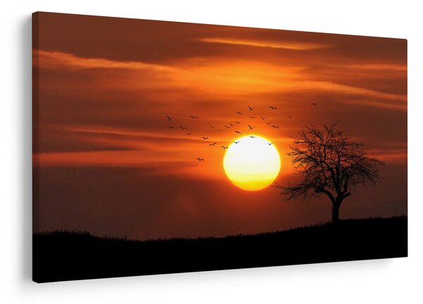 Slika - Zalazak sunca (90x60 cm)