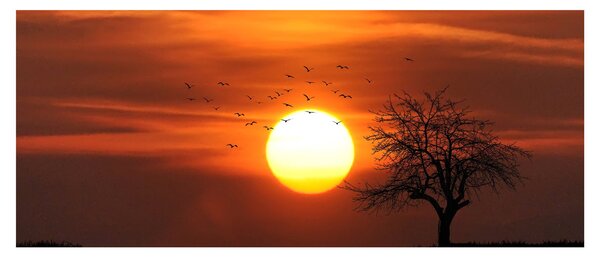 Slika - Zalazak sunca (120x50 cm)