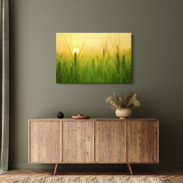 Slika polja sa žitom (90x60 cm)