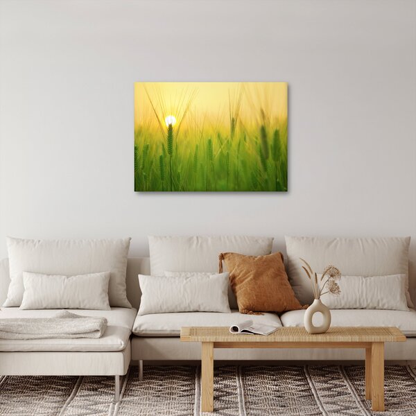 Slika polja sa žitom (70x50 cm)