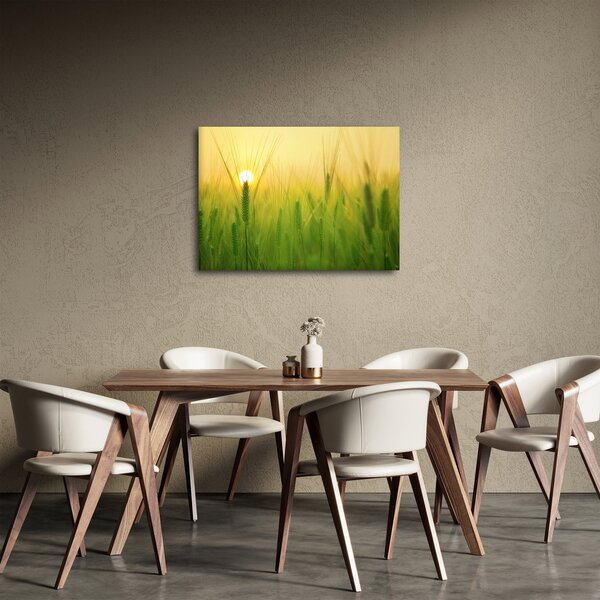 Slika polja sa žitom (70x50 cm)