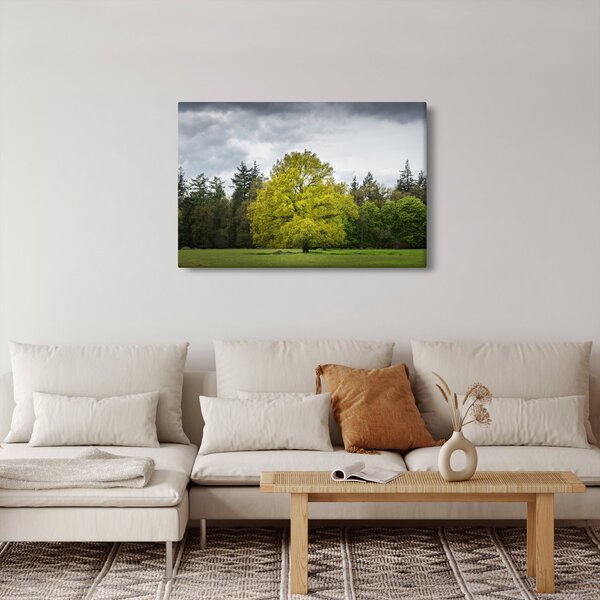 Slika zelenog stabla usred polja (90x60 cm)