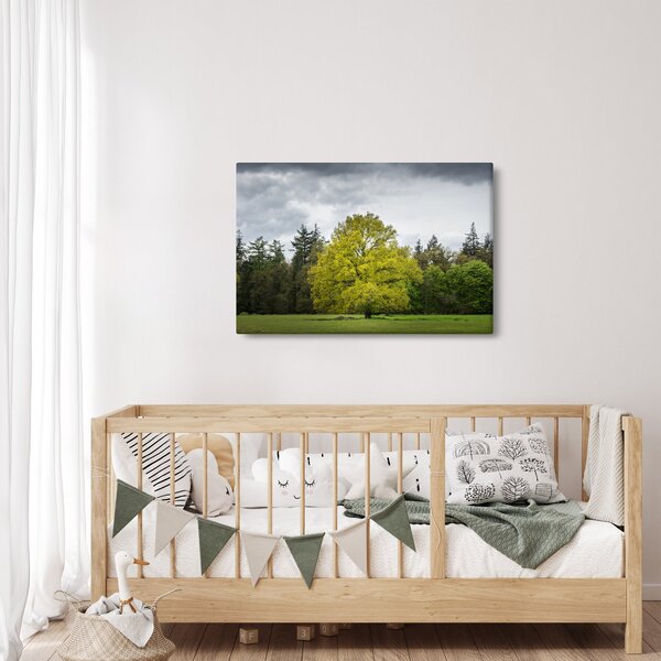 Slika zelenog stabla usred polja (90x60 cm)