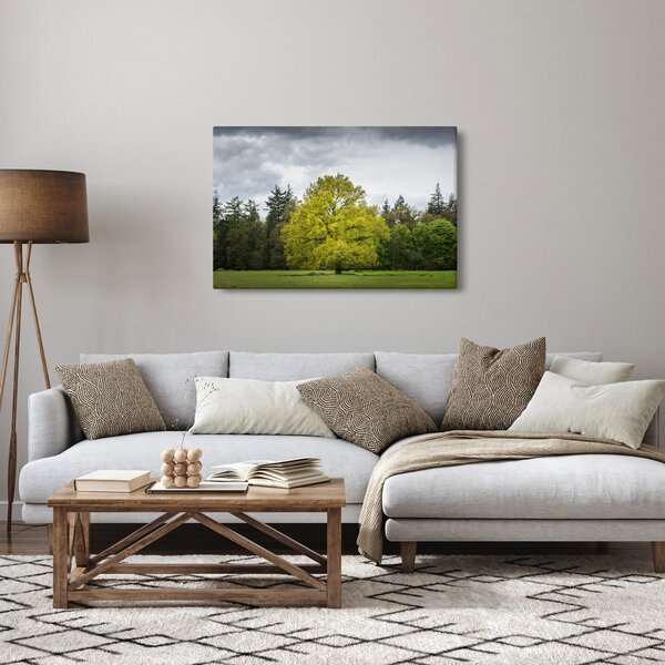 Slika zelenog stabla usred polja (90x60 cm)