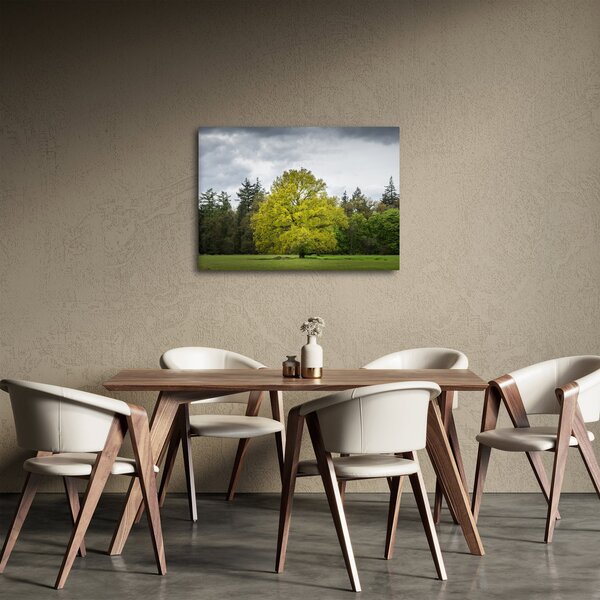 Slika zelenog stabla usred polja (70x50 cm)