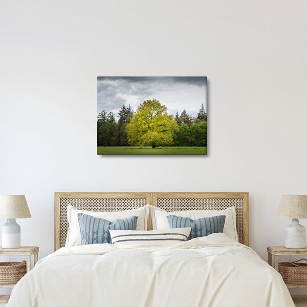 Slika zelenog stabla usred polja (70x50 cm)