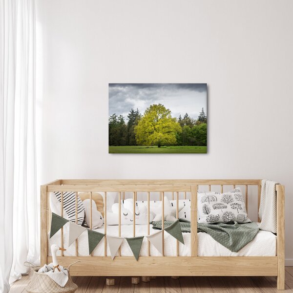 Slika zelenog stabla usred polja (70x50 cm)