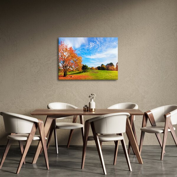 Slika - Jesenski krajolik (70x50 cm)
