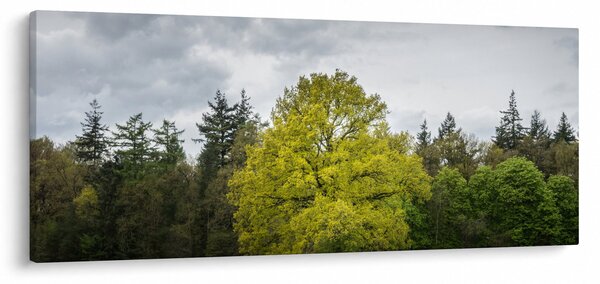 Slika zelenog stabla usred polja (120x50 cm)