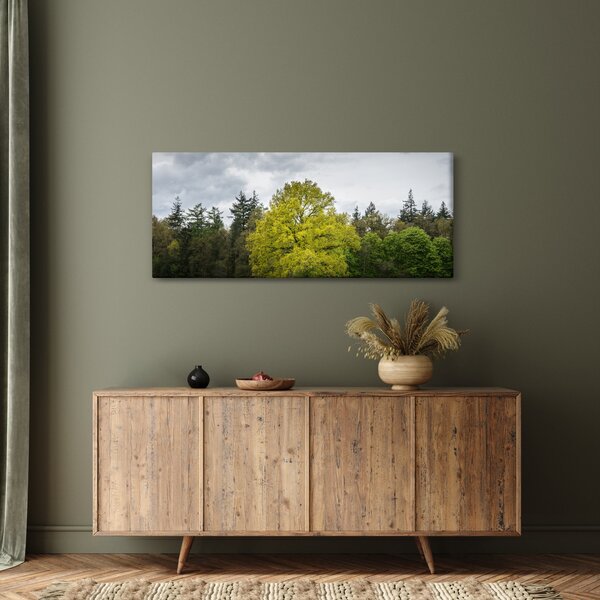 Slika zelenog stabla usred polja (120x50 cm)