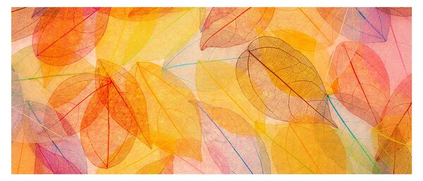 Slika - Pozadina sa jesenskim lišćem (120x50 cm)
