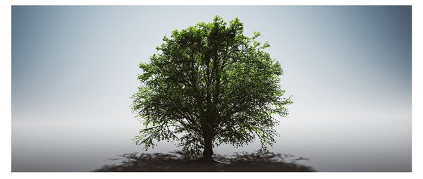 Slika - Usamljeno stablo (120x50 cm)