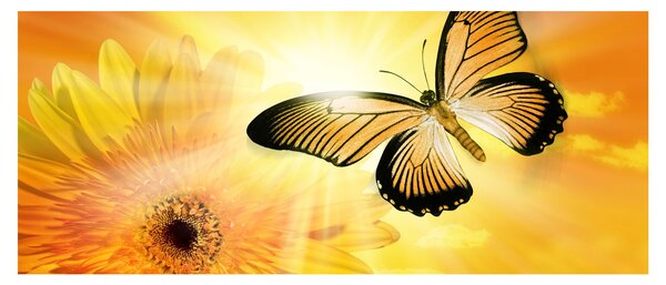 Slika - Žuti leptir s cvijetom (120x50 cm)