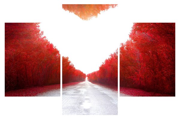 Slika - Put do ljubavi (90x60 cm)