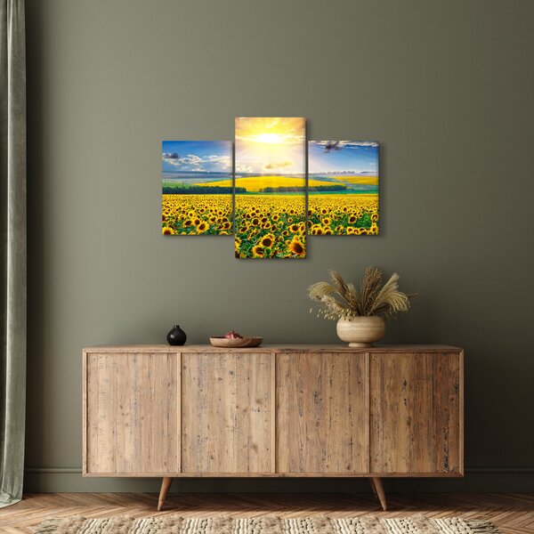 Slika - Polje suncokreta (90x60 cm)
