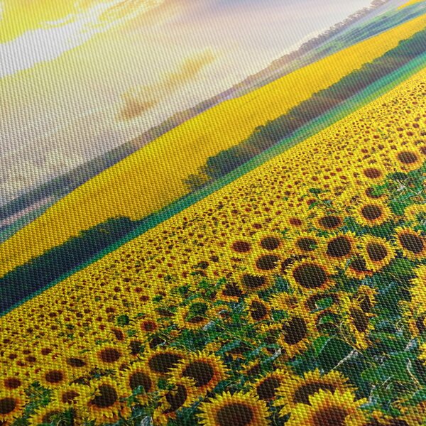 Slika - Polje suncokreta (120x50 cm)