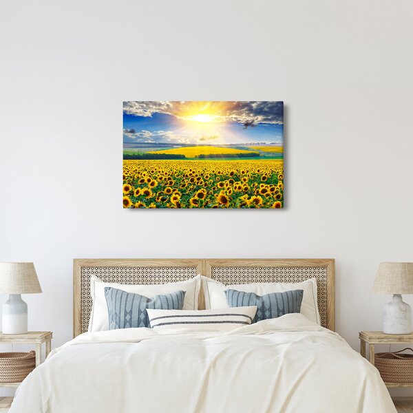 Slika - Polje suncokreta (90x60 cm)