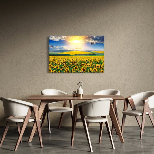 Slika - Polje suncokreta (90x60 cm)