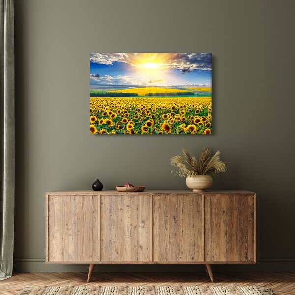 Slika - Polje suncokreta (90x60 cm)