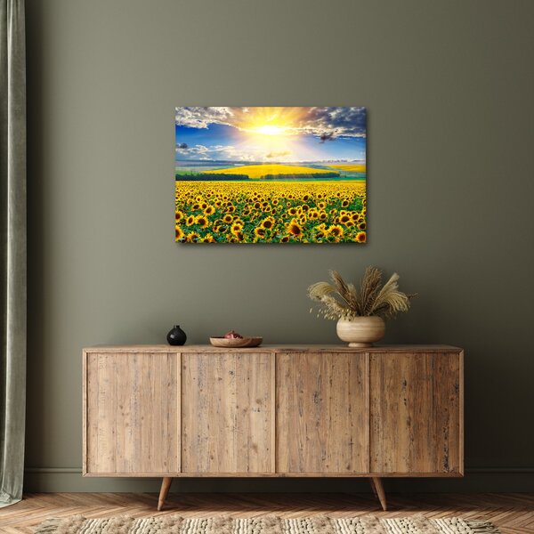 Slika - Polje suncokreta (70x50 cm)