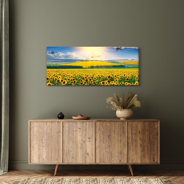 Slika - Polje suncokreta (120x50 cm)