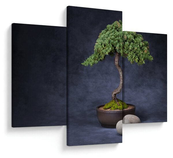 Slika - Bonsai (90x60 cm)