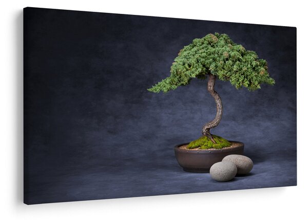 Slika - Bonsai (90x60 cm)