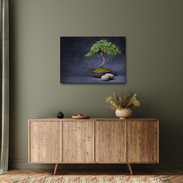 Slika - Bonsai (70x50 cm)