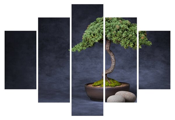 Slika - Bonsai (150x105 cm)