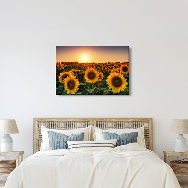 Slika - Suncokret (90x60 cm)