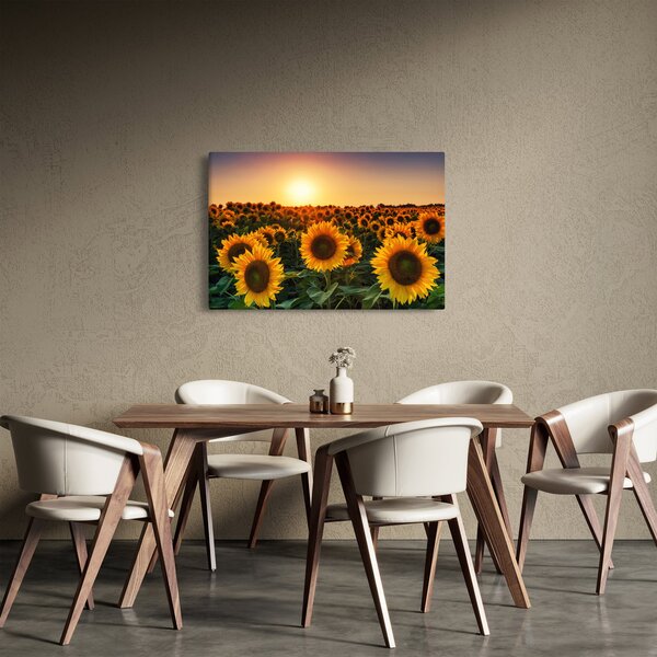 Slika - Suncokret (90x60 cm)