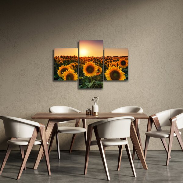 Slika - Suncokret (90x60 cm)