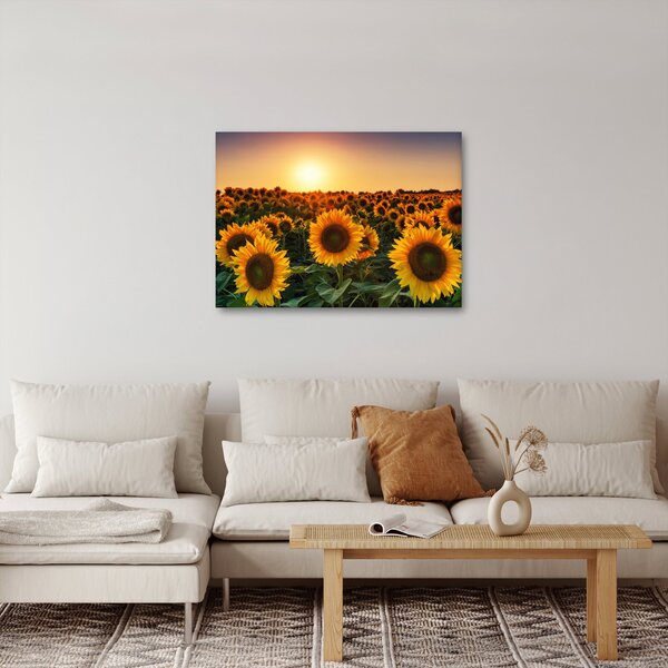 Slika - Suncokret (70x50 cm)