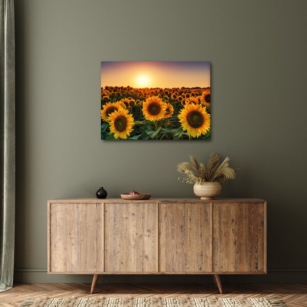 Slika - Suncokret (70x50 cm)