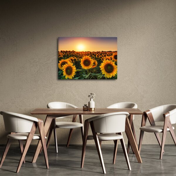 Slika - Suncokret (70x50 cm)