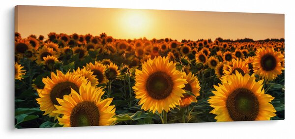 Slika - Suncokret (120x50 cm)