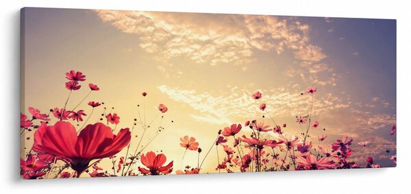 Slika - Livada s cvijećem (120x50 cm)