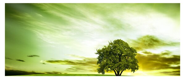 Slika - Drvo života (120x50 cm)