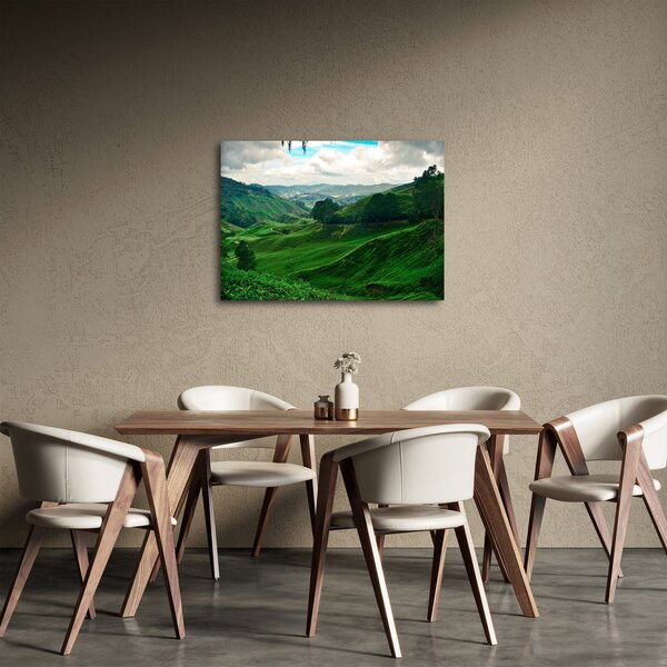Slika - Plantaže čaja u Maleziji (70x50 cm)